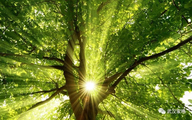 150058473.jpg 20-1.jpg